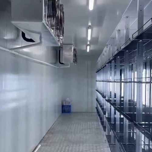Glass Door cold storage room 