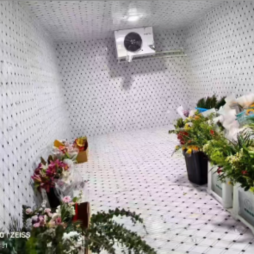 Flower Cold Storage Room