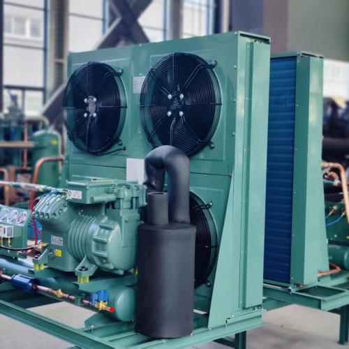 Bitzer Condensing Unit
